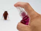 3 طرق طبيعية لطرد الصراصير من المنزل