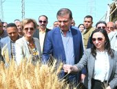 وزير الزراعة خلال احتفال حصاد القمح