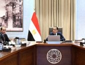 الدكتور مصطفى مدبولي رئيس مجلس الوزراء
