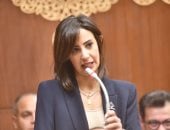 النائبة يوستينا رامي عضو لجنة العلاقات الخارجية بمجلس الشيوخ