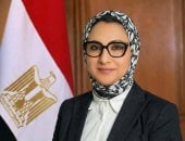 محافظ الوادى الجديد
