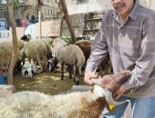 سوق الخراف بالإسكندرية