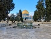 القدس 