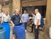 ضبط 18 طن مخللات فاسدة وإخلاء مخزن خردة مخالف فى حملة موسعة بحى الطالبية