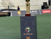 دورى دبلوماسيين كرة القدم