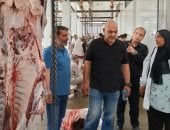 تفقد عمل المجازر