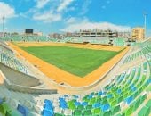 استاد النادي المصري الجديد 