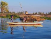 جزيرة الشخلوبة
