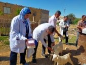 قافلة طبية بيطرية مجانية شاملة بمنطقة عيون موسى
