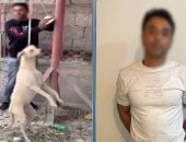 الداخلية تكشف حقيقة توثيق شخص كلب بعمود وضربه حتى الموت