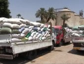 توريد 184 ألف و500 طن من محصول القمح إلى الشون