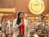  النائبة شيرين صبرى عضو مجلس الشيوخ