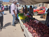 إقامة أسواق اليوم الواحد بأحياء العجمي وثان المنتزه ومركز برج العرب