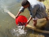 إطلاق زريعة الأسماك في نهر النيل