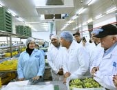 رئيس الوزراء خلال جولته التفقدية بإحدى محطات تصدير الفاكهة