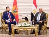  المستشار هشام بدوى رئيس مجلس النواب 