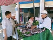  أسعار الأسماك فى أسواق الوادي الجديد اليوم 