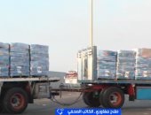 مداخلة الكاتب الصحفي صلاح مغاوري