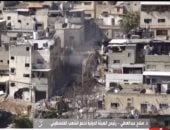 مداخلة الدكتور صلاح عبد العاطي