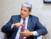 علاء شلبي رئيس المنظمة العربية لحقوق الإنسان