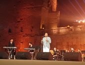 على الحجار