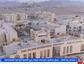 مداخلة الدكتور حسام عبد العال