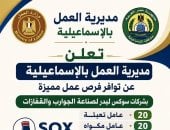 60 فرصة عمل جديدة لشباب الإسماعيلية