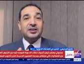  طارق البرديسي، خبير العلاقات الدولية