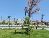 منتزة إدكو وجهة ترفيهية مختلفة