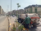 تجميل الطرق بأشجار قليلة استهلاك المياه