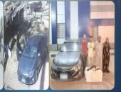 المتهمون بسرقة الماشية 