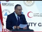 الدكتور عبد العزيز قنصوة وزير التعليم العالى والبحث العلمى