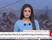جانب من المداخلة 