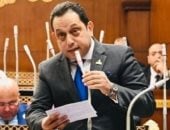 النائب محمد الجندي، عضو مجلس الشيوخ