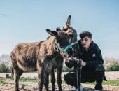 كاي هافرتز والحمير