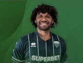 محمد النني