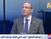 الدكتور حسام حسنى