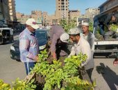 زراعة أحواض الزهور بشارع العامل الأول فى إمبابة ضمن مبادرة اتحضر للأخضر