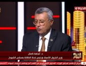أسامة كمال وزير البترول الأسبق ورئيس لجنة الطاقة بمجلس الشيوخ