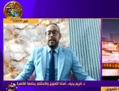 الدكتور كريم يحيى أستاذ التمويل والاستثمار بجامعة القاهرة
