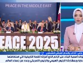 ماهر صافي الكاتب والمحلل السياسي الفلسطيني