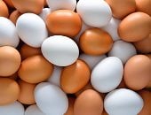 أسعار البيض بكفر الشيخ