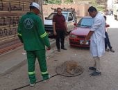 حملات مكثفة بالدقهلية لمواجهة الكلاب الضالة 