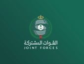 تحالف دعم الشرعية باليمن  