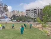 زراعه المسطحات الخضراء