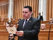 النائب عماد الغنيمي عضو مجلس النواب