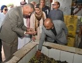 محافظ جنوب سيناء يتفقد معصرة زيت الزيتون التابعة لمديرية الزراعة