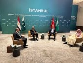 وزير الخارجية يشارك فى اجتماع وزراء خارجية مجموعة R4 بإسطنبول