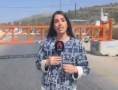 دانا أبو شمسية
