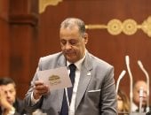 النائب فتحي دسوقي، عضو مجلس الشيوخ